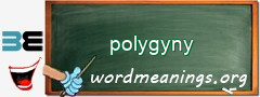 WordMeaning blackboard for polygyny